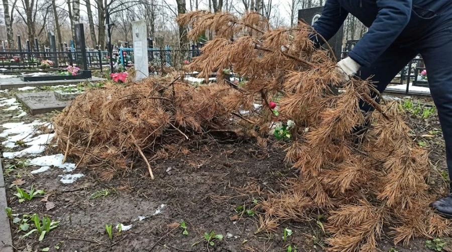 vesnyannyaya-uborka-mogily-lapnik